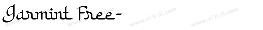 Garmint Free字体转换